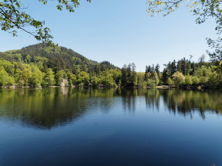 Naturpark Südschwarzwald. Spaziergang um den Bergsee oberhalb Bad Säckingen und Gipfel Röthekopf unter einem frühlingsblauen Himmel in Baden-Wüttemberg