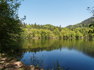 Fototapeta na wymiar Naturpark Südschwarzwald. Stillen Wasser des Bergsee oberhalb Bad Säckingen und Gipfel Röthekopf unter einem frühlingsblauen Himmel in Baden-Wüttemberg