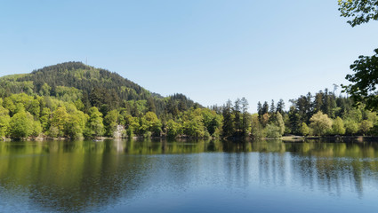 Fototapeta na wymiar Naturpark Südschwarzwald. Bad Säckinger Bergsee ist ein beliebtes Ausflugsziel in Baden-Wüttemberg