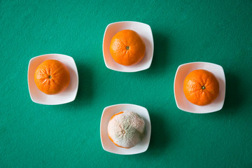 ROTTEN AND FRESH ORANGES ON WHITE DISH ON GREEN BACKGROUND