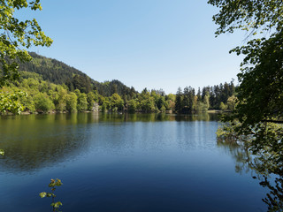 Fototapeta na wymiar Naturpark Südschwarzwald. Spaziergang um den Bergsee oberhalb Bad Säckingen und Gipfel Röthekopf unter einem frühlingsblauen Himmel in Baden-Wüttemberg