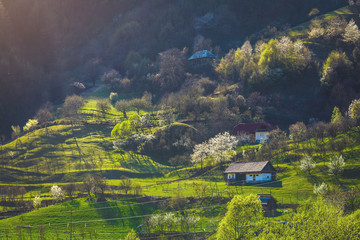 Spring landscape, peaceful life in Romanian small village, old barn house