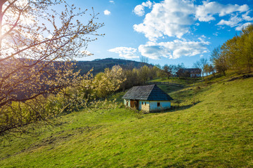Beautiful spring landscape in rural Romania, trees in bloom and old traditional houses