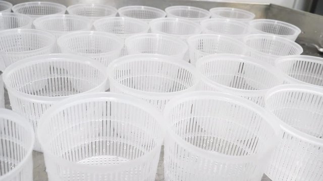 Cheese-Maker bilder – Bläddra bland 1,021 stockfoton, vektorer och ...