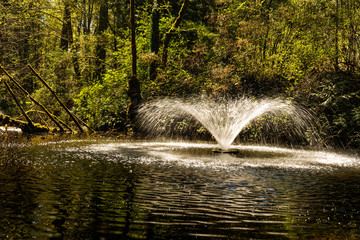 fountain in the park