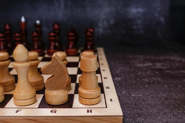 chess pieces on a dark background © Dany_lova