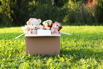 Soft toys for donation in the opened cardboard box on green grass outdoors