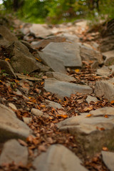 Stone path close-up