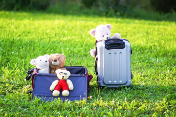 Soft toys on travel bags on green grass outdoors in sunlight