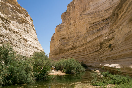 A canyon with Ein Avdat in the background