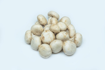 Fresh mushrooms isolated on a gray background. White champignon on a subject table. Mushrooms grown at home.