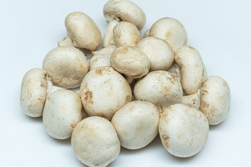 Fresh mushrooms isolated on a gray background. White champignon on a subject table. Mushrooms grown at home.