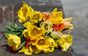 In spring, a colorful bouquet of fresh tulips lies on an old brick wall against a light background