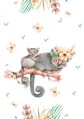 Baby Mouse lemur. Hand drawn cute watercolor cartoon mouse lemur on tree with jungle leaves on white background © Anna Terleeva