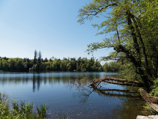 Fototapeta na wymiar Naturpark Südschwarzwald. Bergsee oberhalb Bad Säckingen. Idyllisch gelegene. Herrliche schattige Ufer und rundweg des kleinen Bergsees