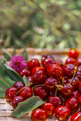 Ripe juicy cherries on a wooden table in a summer day. Shallow depth of field. Copy space. Art photography. Macro.
