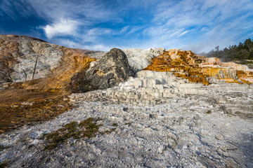 Fototapeta na wymiar Mammoth Hot Spring Yellowstone