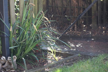 Obraz premium jet washing the block paving