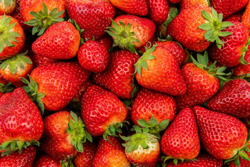 Background of the fresh strawberries