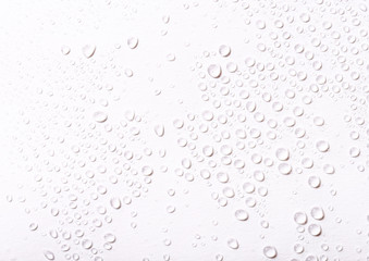 Water drops dew on a white background