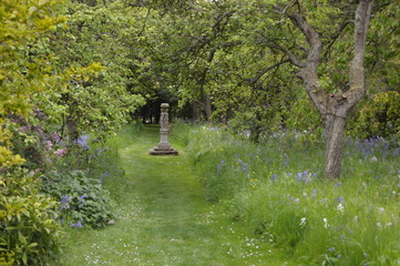 A Scottish Town Garden, St Andrews, Fife