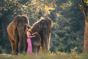 Beautiful woman wear traditional Thai dress with elephant.