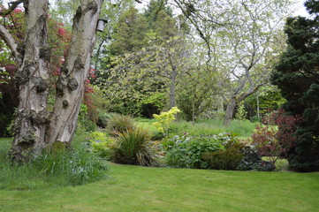 A Scottish Town Garden, St Andrews, Fife