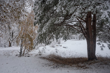 landscape photography