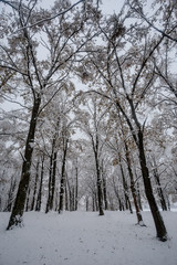 landscape photography