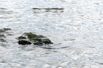 a protruding rock above the water. Raging surface of the sea with a lot of incoming waves on the rock.