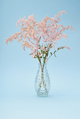 Delicate pink flowers in a glass vase on a blue background