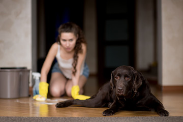 The dog stained the floor, the owner of the dog launders the floor