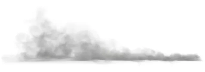 Fotobehang Dust cloud on a dusty road from a car. © tpupyku