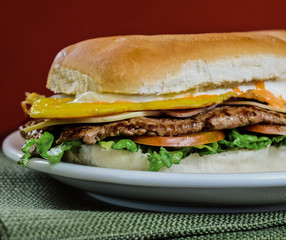 meat sandwich on a plate