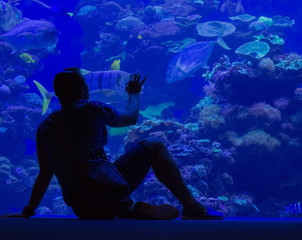 Fototapeta na wymiar he guy looks at fish in an aquarium