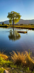 Obraz premium arbol y lago con montañas al fondo