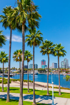 Long Beach waterfront with skyline and harbor, CA