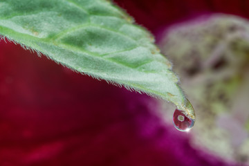 One water droplet