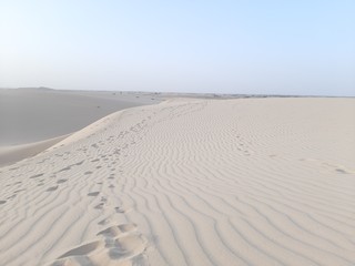 traveling in sahara desert of Algeria