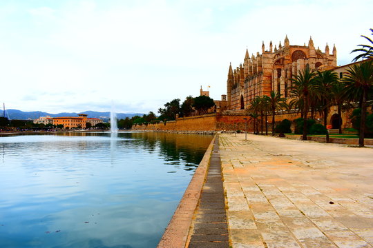 The Catedral of Palma