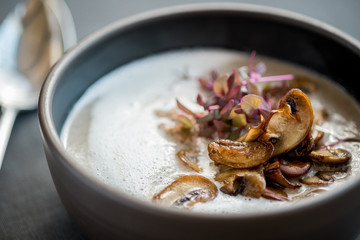 Vegetable and mushroom soup with fresh onions