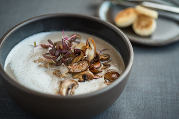 Vegetable and mushroom soup with fresh onions