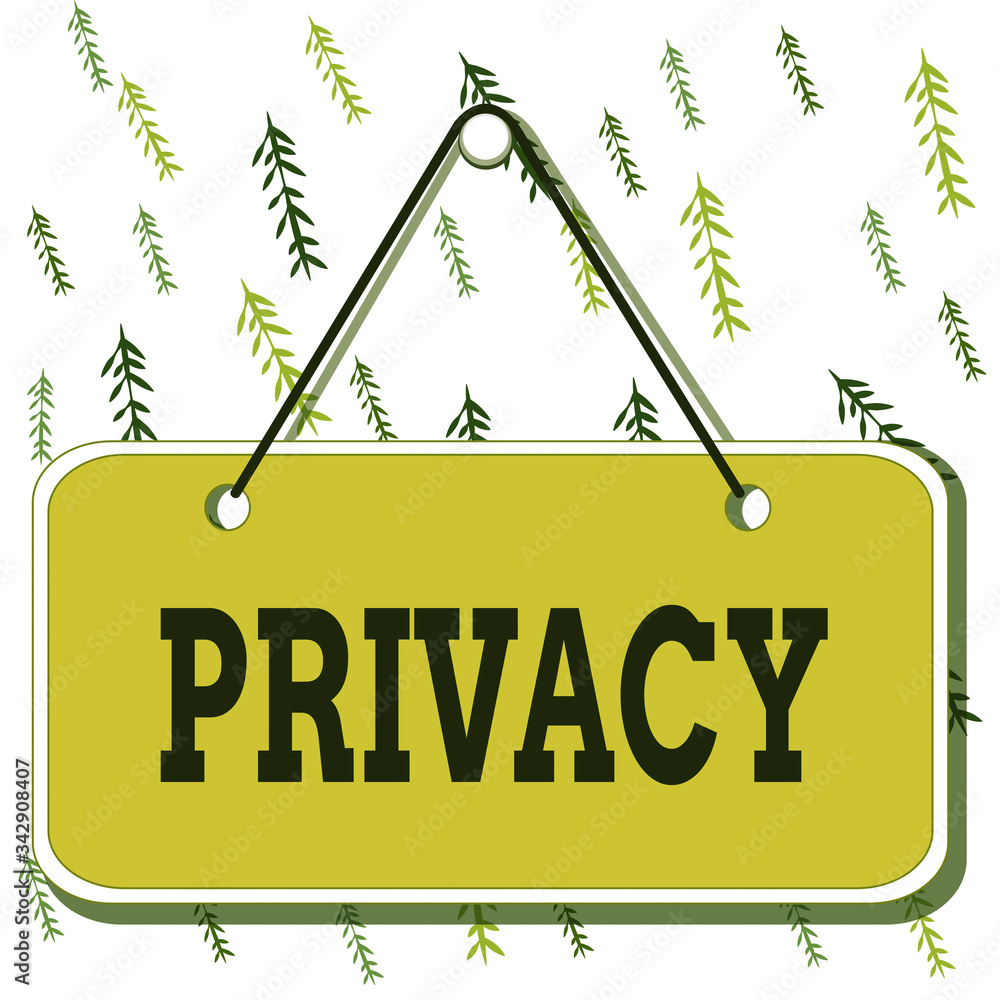 Poster handwriting text writing privacy. conceptual photo right to keep demonstratingal matters and informa