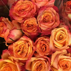 bouquet of peach roses
