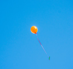 colorful balloons flying in the blue sky with message written by children