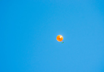 colorful balloons flying in the blue sky with message written by children