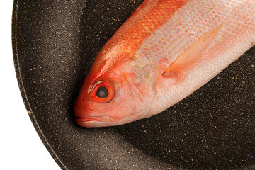 Red snapper raw fish isolated and disposed in a fry pan. White background. Cut out. - 342909097