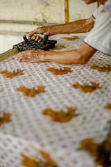 Surakarta Indonesia April 27 2020 : Beautiful Batik Motif of Surakarta Indonesia is a traditional culture from Indonesia with bokeh background, Batik Tulis