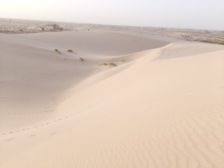 traveling in sahara desert of Algeria