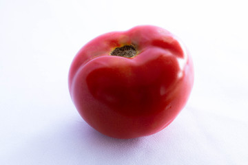 tomate brillante con fondo blanco